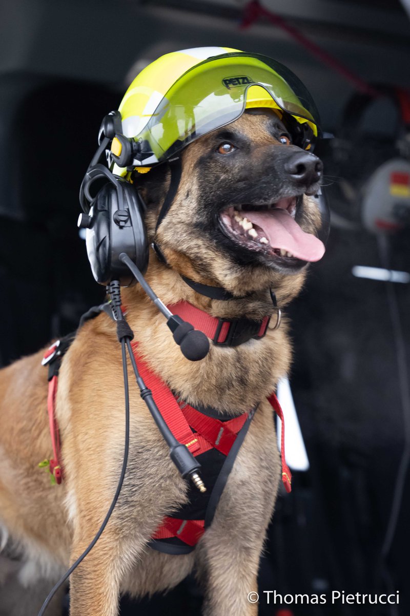 #Kodiak qui fait le pitre dans la machine "Dragon38"