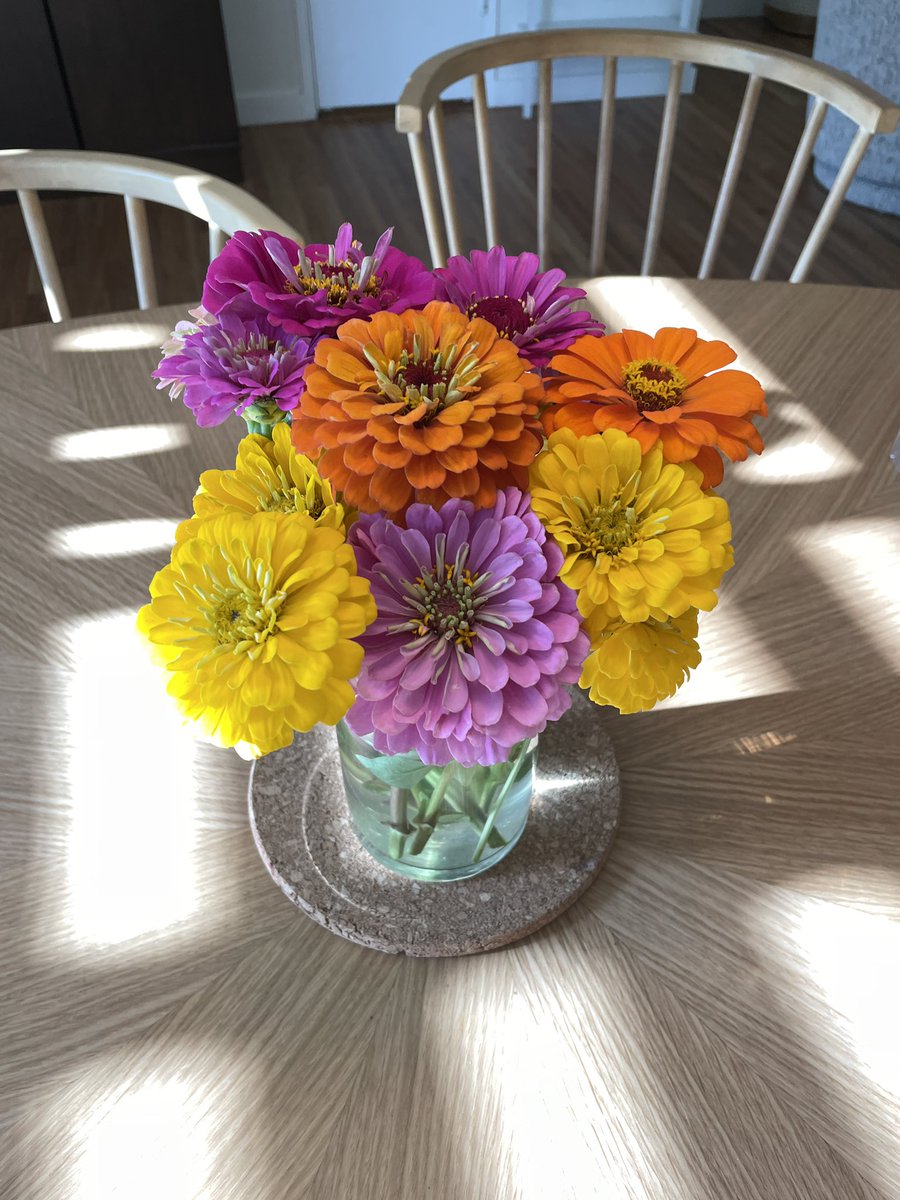 Kohl Crecelius tweet media