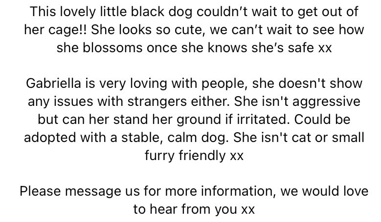 AdAstraRescue's tweet photo. Gabriella our little Pulin mix! This lovely girl is ready for adoption! Loves people and is friendly and affectionate. Would be best homed as an only dog or with a calm resident doggo. Get in touch for more! #adoptme #helppozegadogs #pulin #adoptdontshop #rescuedogs #rescue #home https://t.co/sYh8ZSks6I