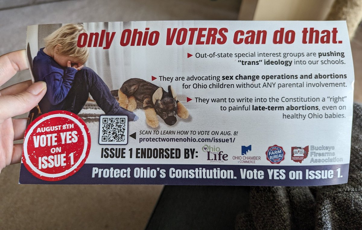 CarFree_CLE's tweet photo. Absolutely unhinged issue 1 mailer arrived today. The front said "your toy dog can't protect you" with the same child and stuffed animal image. https://t.co/48ESbdmkmf