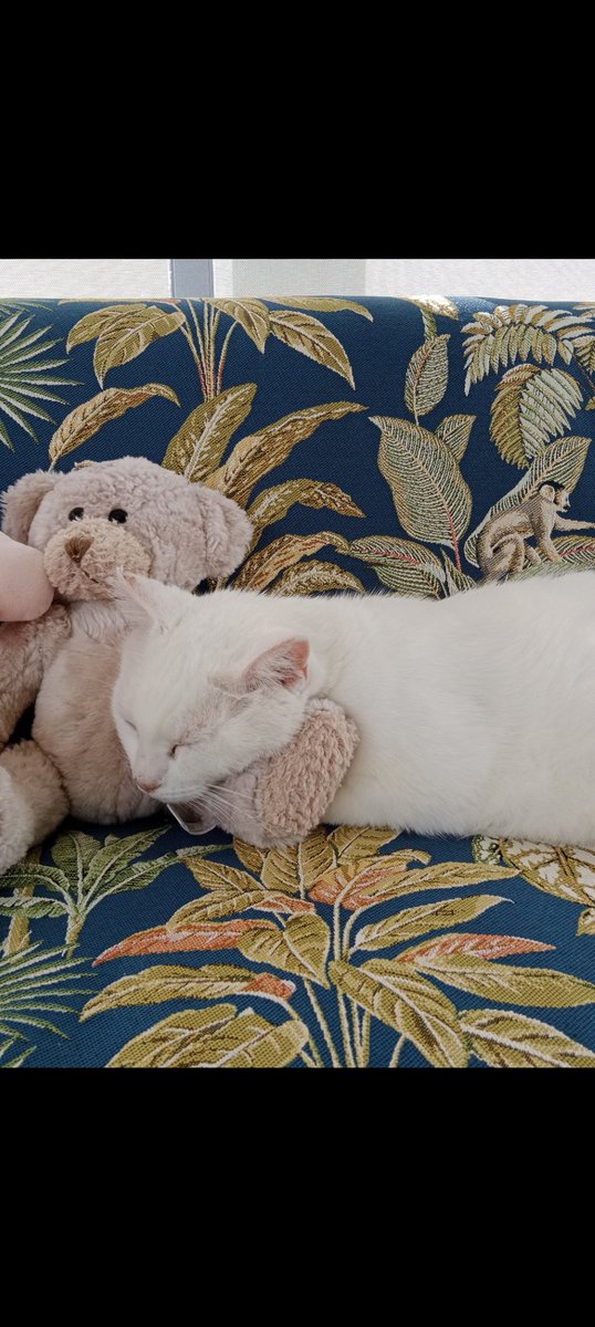 'Till I Collapse tweet media