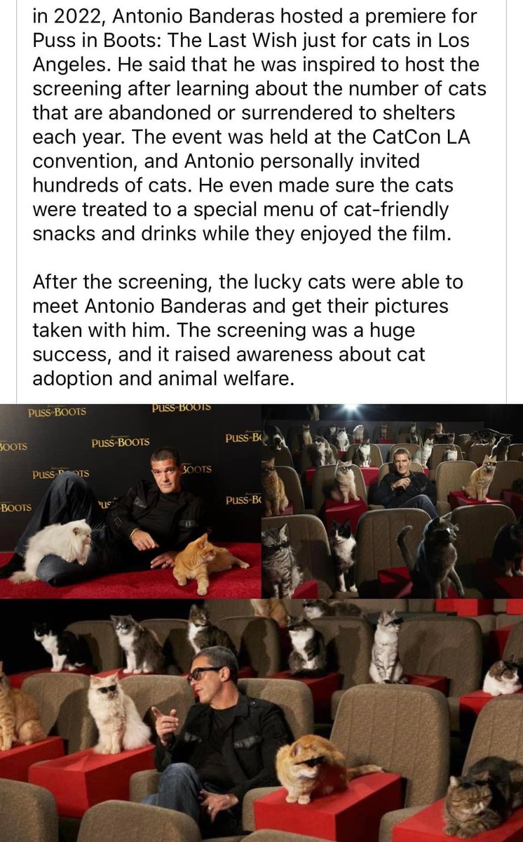 ✅ Puss in Boots

✅ Cat Adoption Cause

✅ Savvy PR

= a viral combination