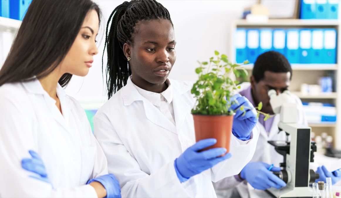 USDA_APHIS's tweet image. Looking for a career in botany? APHIS is hiring Identifier-Botanists with expertise in pest biology/ taxonomy to identify seeds and plants intercepted at U.S. points of entry and help mitigate risks to American agriculture. Jobs close 8/8; apply today! usajobs.gov/job/740687000