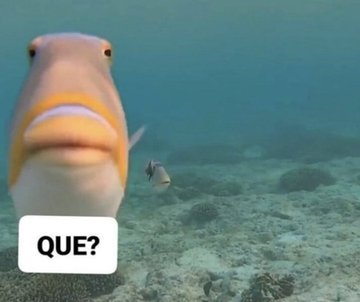 itsD3lay's tweet photo. yo siempre que me hablan https://t.co/qERyY1PrVV