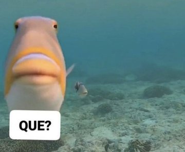 itsD3lay's tweet photo. yo siempre que me hablan https://t.co/qERyY1PrVV