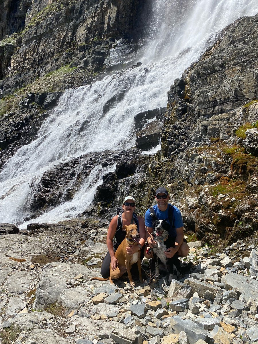 Syngenta Canada Palliser District tweet media