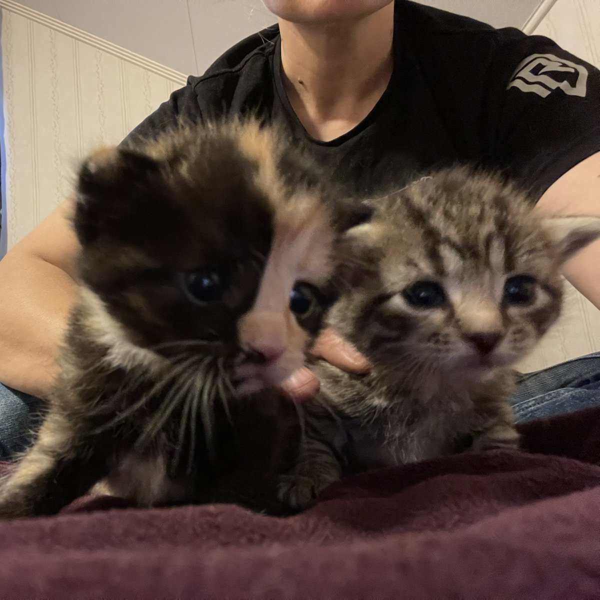 Nanoq82's tweet photo. Nameless och Smoke är de två som är mest nyfikna på allt. https://t.co/v9Hdg7A9SB