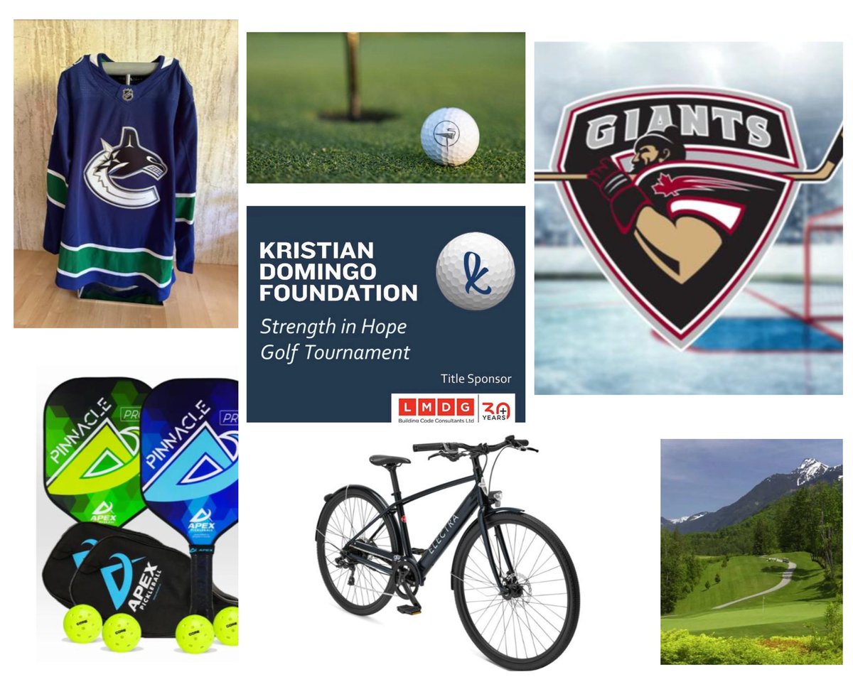 This year's Strength in Hope Golf Tournament is approaching, and the Kristian Domingo Foundation's silent auction is now LIVE. Please follow the link below to find out about the fantastic prizes ▶️ow.ly/ty9X50Pr5fP Lots 

Photo Credit: Kristian Domingo Foundation