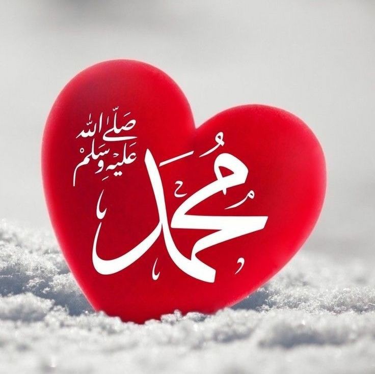 رسول الله ﷺ فرمودنــد ...
هر پیامبری یک دعای مستجاب دارد که از آن استفاده میکند ؛ من میخواهم دعایم را برای آخرت ذخیره کنم تا برای امتم شفاعت نمایم ...

صحیح بخاری ؛ ۶۳۰۴

فداک روحی و امی و ابی یا رسول الله‌ﷺꨄ
🤍