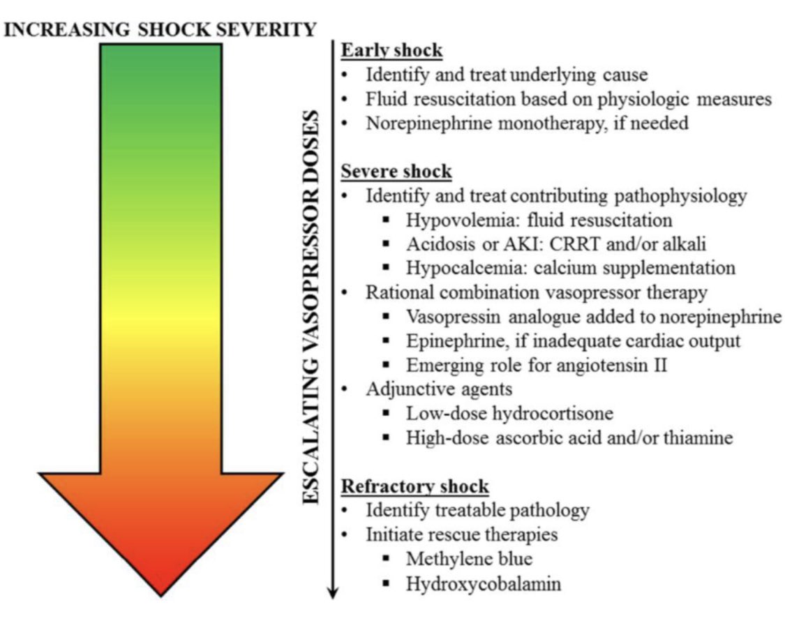 VSLanziotti's tweet photo. Nice review about #shock!
✅Diagnosis
✅Management
❗️Septic
❗️Hypovolemic
❗️Cardiogenic
❗️Obstructive
❗️Distributive
Worth read it! Thanks for sharing @nelsonSpinto
#sepsis #MedEd #FOAMed #Foacc
Important content for #fellows
https://t.co/JyvRbPelfv
@rjabornisky @drzaf_pic https://t.co/67iC5LKVkn