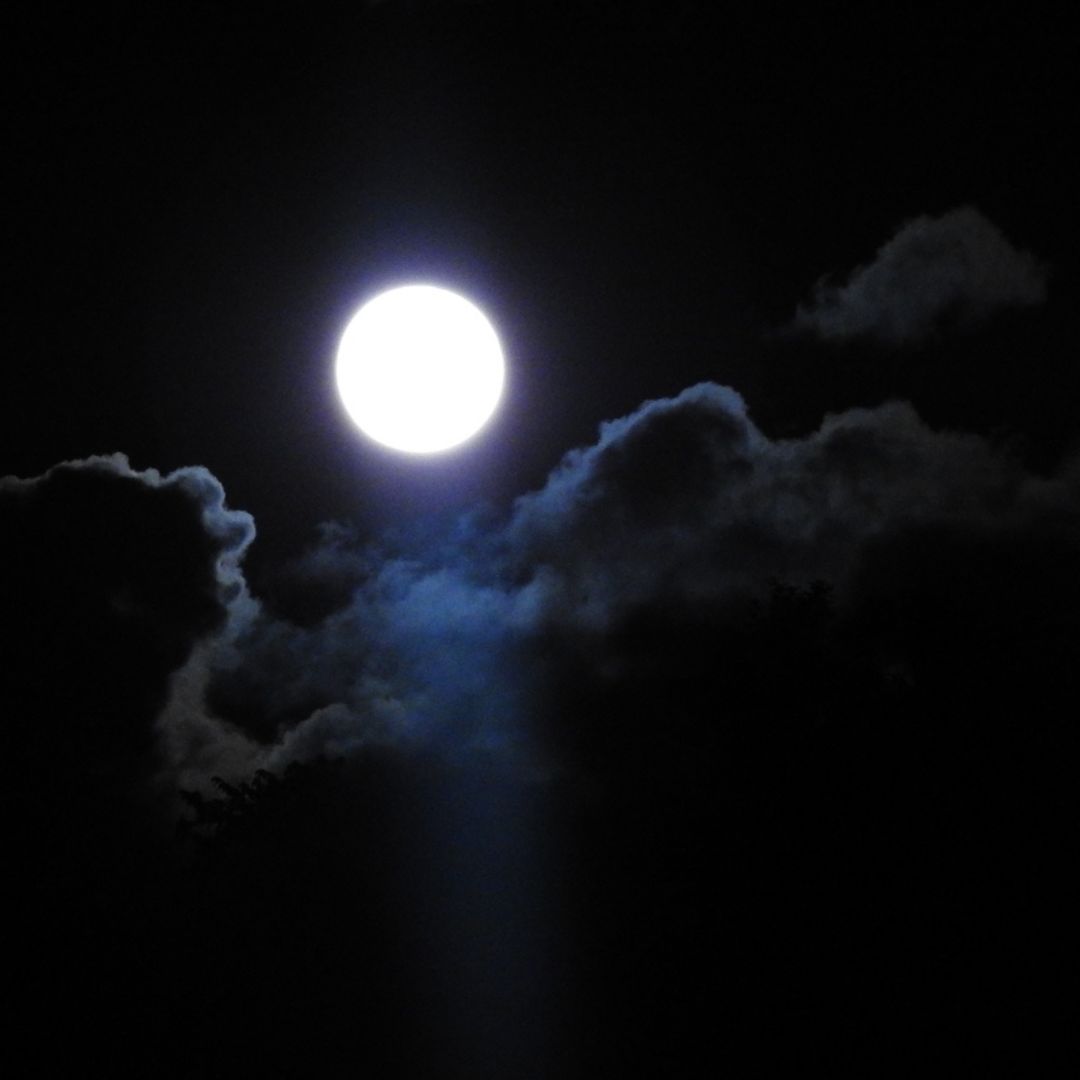 NatureUpNorth's tweet photo. Last night was SUPER at Hart's Falls! Although a Supermoon is not an “official” astrological term, the name rose in the 70's. We learned about and enjoyed the rise of August's Sturgeon Supermoon, thanks to all who came out! https://t.co/8nvhCLjTMt