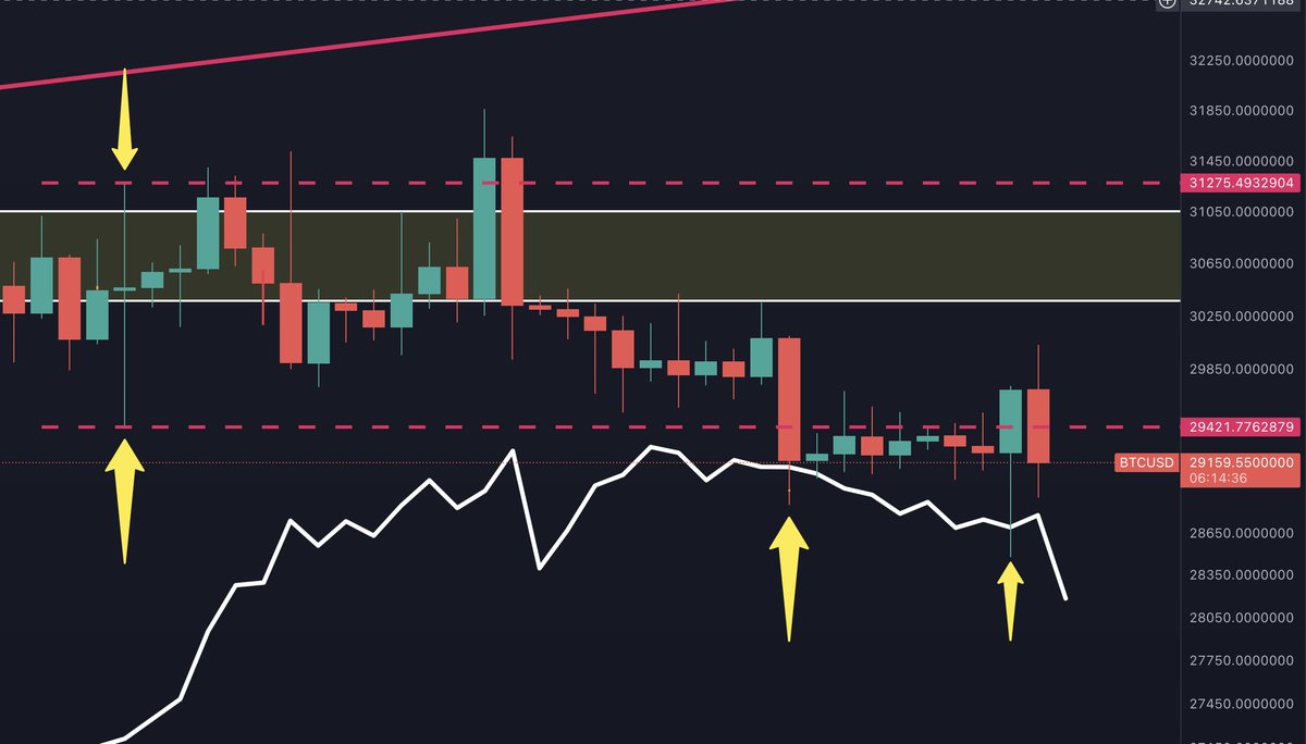 Wisdom Bites tweet media