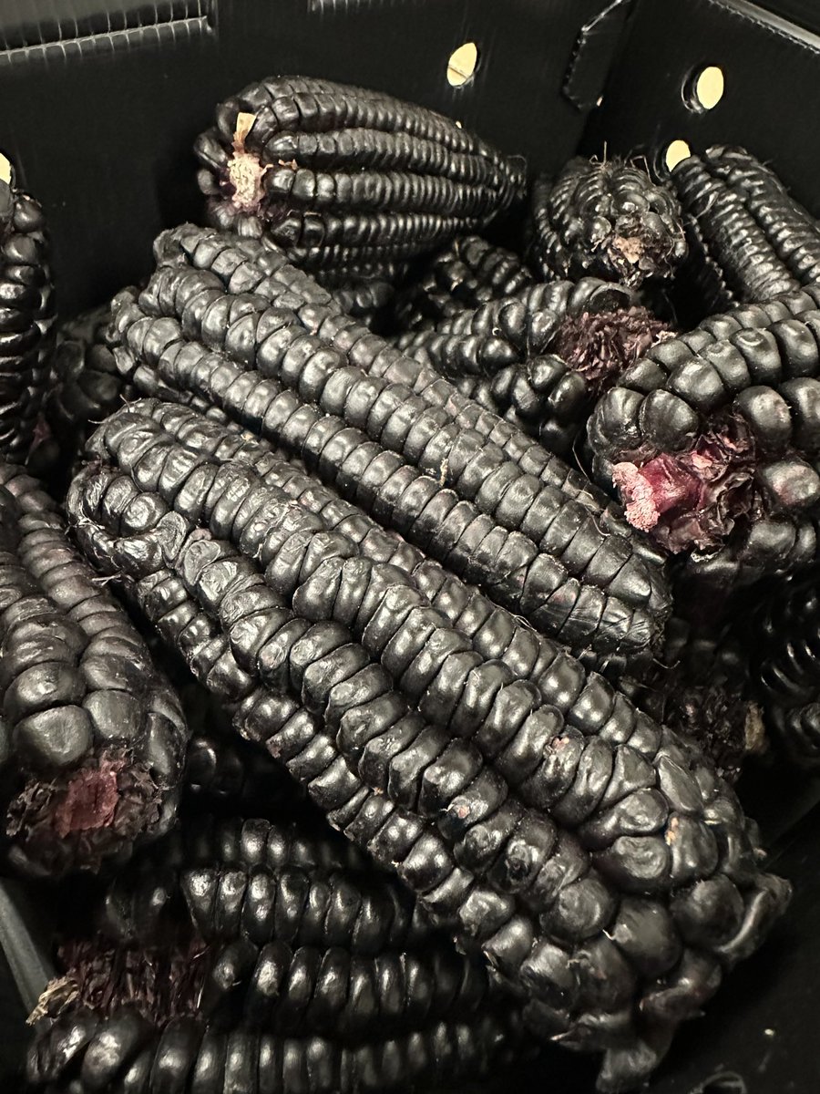 Augļu Serviss tweet media