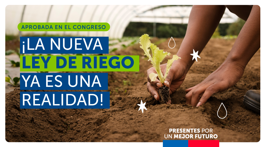 GobiernodeChile's tweet photo. ¡Gran avance para la agricultura con la #NuevaLeyDeRiego!💧🌱

Nuestro país cuenta con una Ley de Riego que focaliza los esfuerzos de la @CNRCHILE en la pequeña y mediana agricultura, permitiendo un uso más eficiente del agua para el riego.
Conoce aquí los principales cambios👇 https://t.co/aRyx8WZXr1