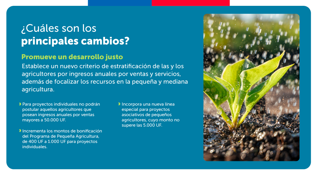 GobiernodeChile's tweet photo. ¡Gran avance para la agricultura con la #NuevaLeyDeRiego!💧🌱

Nuestro país cuenta con una Ley de Riego que focaliza los esfuerzos de la @CNRCHILE en la pequeña y mediana agricultura, permitiendo un uso más eficiente del agua para el riego.
Conoce aquí los principales cambios👇 https://t.co/aRyx8WZXr1