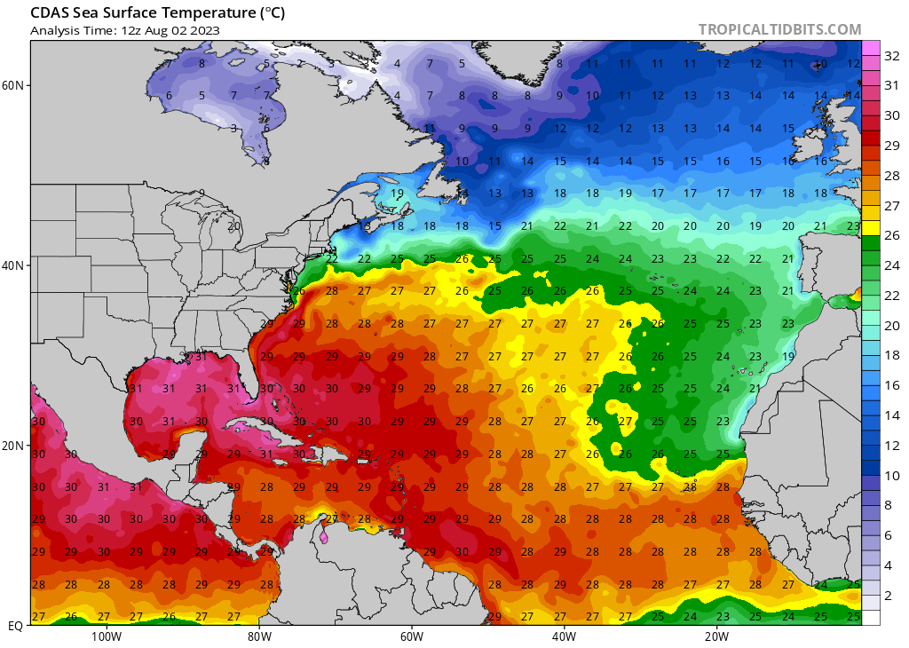 GROUND TRUTH #Coral BLEACHING with volunteer scuba diving operators visiting the #CoralReefs #CoralReef where the hot spots are identified. Please share your reports <a href="/ArrecifesCoral/">Observatorio Internacional de ARRECIFES CORALINOS</a> Instagram <a href="/ICR_Observatory/">INTERNATIONAL CORAL REEF OBSERVATORY</a> Facebook.com/ICRObservatory