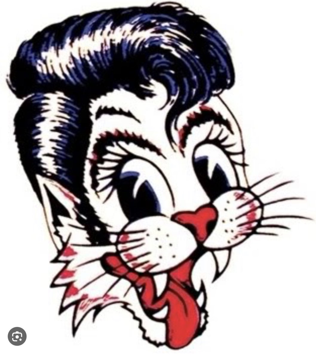 alanw630's tweet photo. @mjames1229 @AllenKessler Stray Cat logo looks right to me. https://t.co/ZxiYkIdzTu