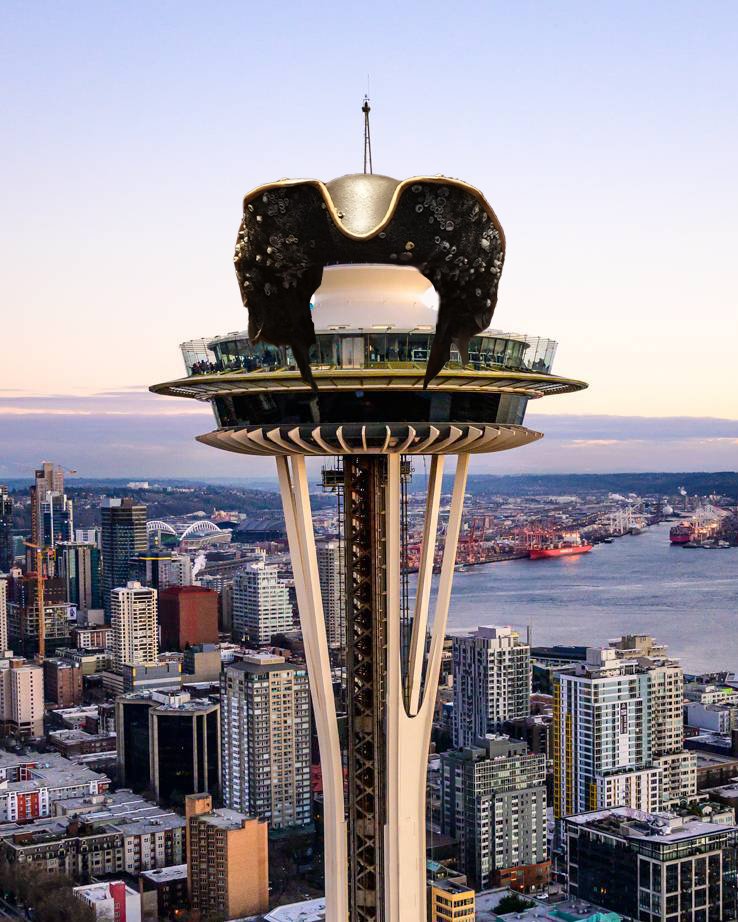 Seattle Kraken tweet media