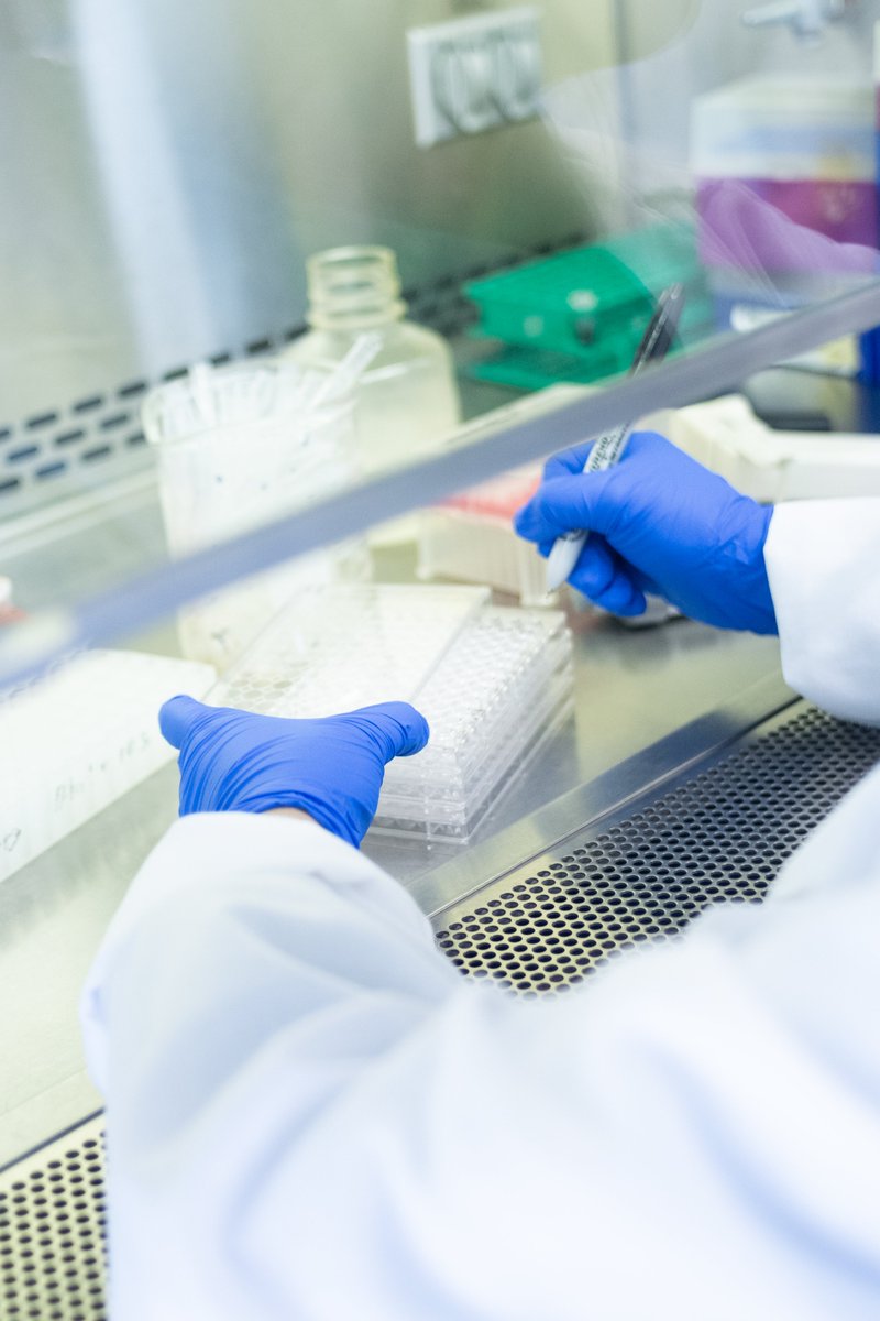 SanDiegoBiomed's tweet image. Have you ever heard of cachexia?

Here at San Diego BioMed scientists are working to understand the complexities of cachexia with the aim to develop new therapies and treatments.

Read more at @sd_biomedical instagram.com/p/CvdYpzOP5ti/…