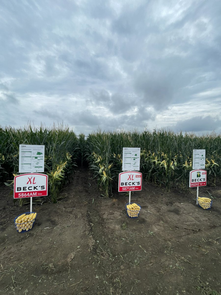 Been curious what the new <a href="/BecksHybrids/">Beck's Hybrids</a> hype is all about in the west? Come  join us anytime tomorrow from 9am-4pm at our Goehner, NE facility to learn anything/everything about our company and offerings!!