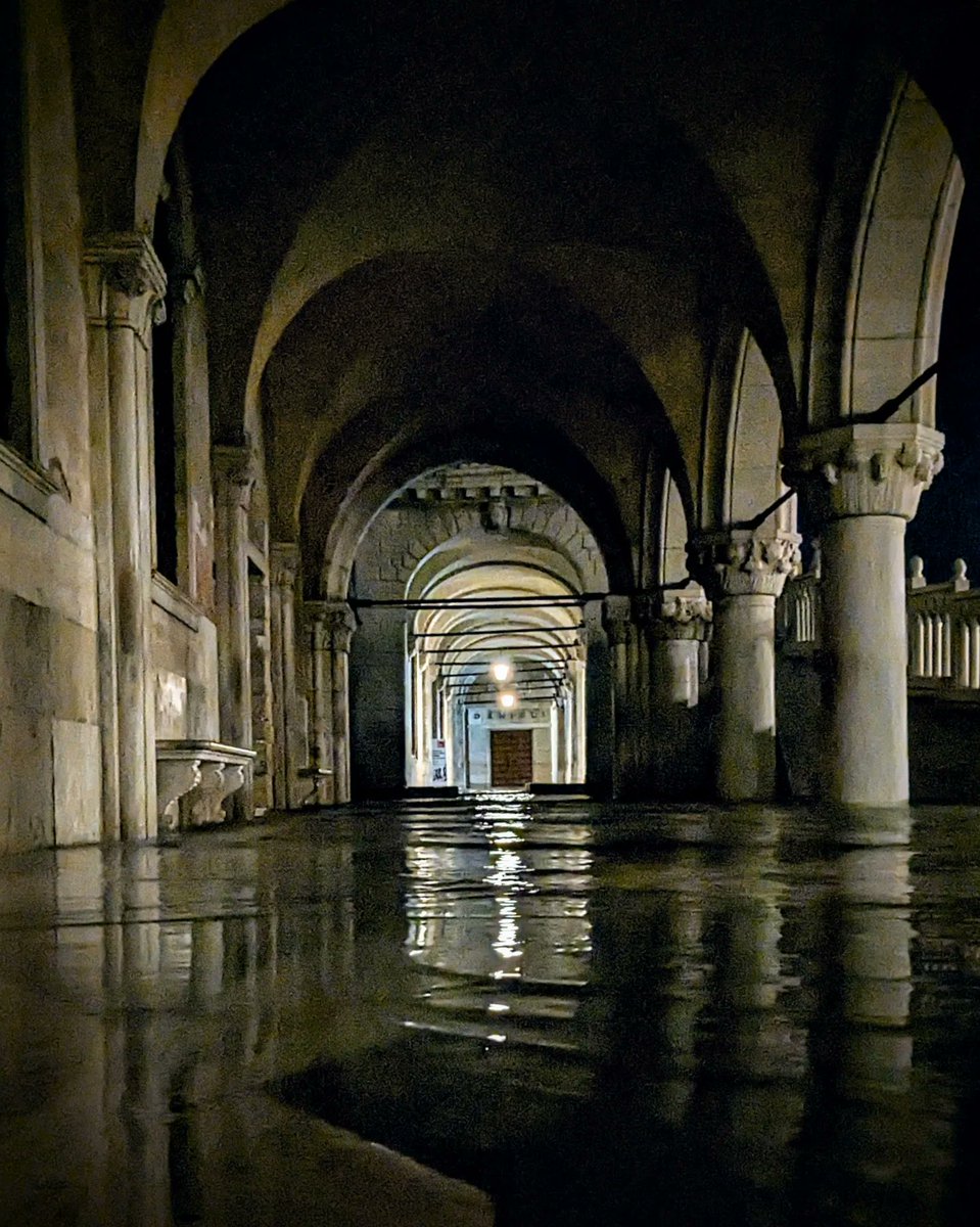 LJ_Pritchard's tweet photo. #FullMoon #LunaPiena #AcquaAlta on a #SummersNight #PiazzaSanMarco #Piazzetta #DogesPalace #PalazzoDucale #Venice #Venezia #LivingOnWater #Reflections https://t.co/S8Noq19Juo