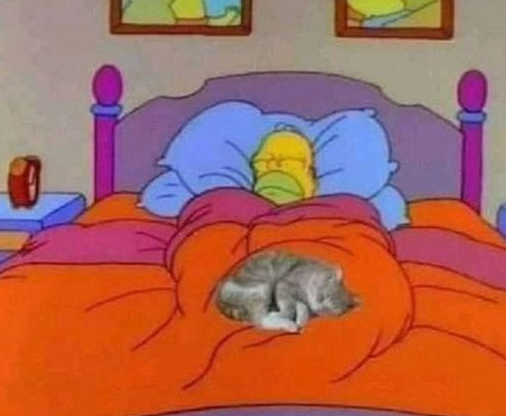 Definición de felicidad