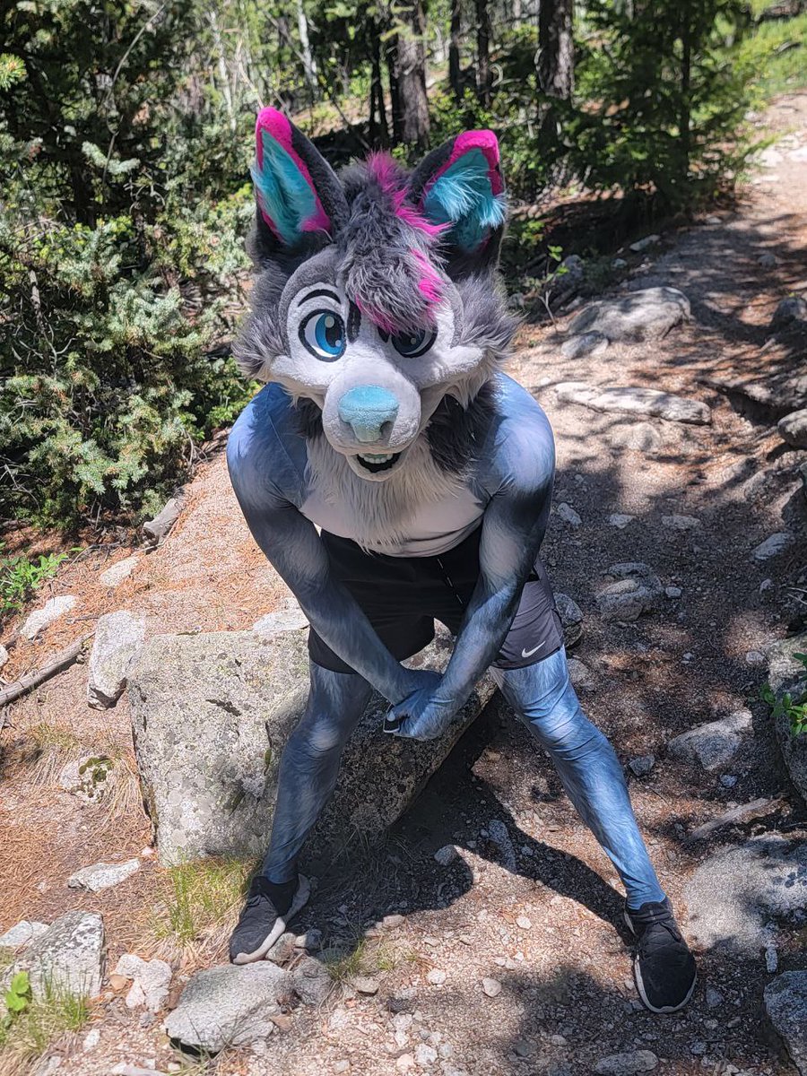 Crux Wusky 🔜 AC? EF? tweet media