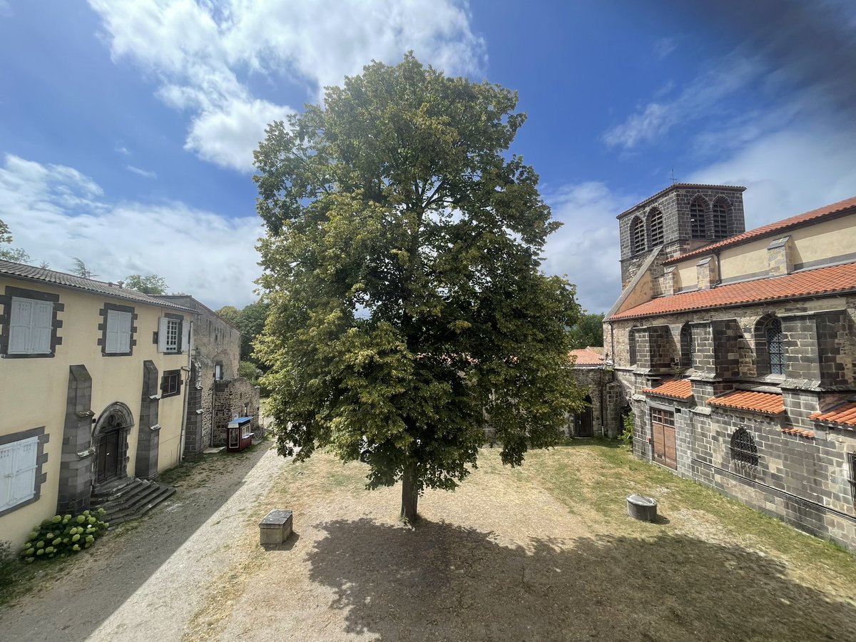 clubhistorique's tweet photo. 👀 La cour du cloître de l’abbaye de Mozac et son tilleul vus depuis la salle des moines au premier étage du presbytère.
#mozac #abbayedemozac @PaysRlv @TerraVolcana @ClunisienUnesco https://t.co/DHNYM7VLp2