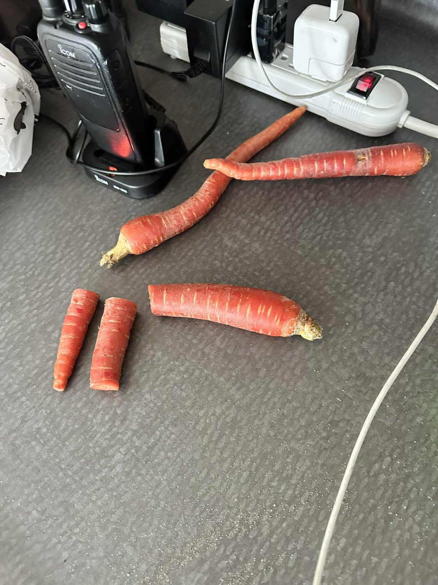 Roosloan's tweet image. Yesterday on route to school I stopped by this local farmer close to @TonyPontesPS picked up some produce to explore with senses this week. He kindly explained what he grew in Punjabi for some of my Ss (whose eyes lit up listening to his words) #peeleyc @RangerRidley @PeelEML