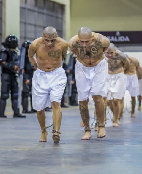 eduardomenoni's tweet image. ¿Estás de acuerdo en las palabras de Nayib Bukele de que todo aquel que defiende a los delincuentes es cómplice de ellos?