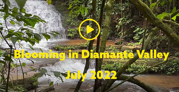 Another great video by Hannah Mitchell from Bloom! This is a DIY reality tv style documentary she made from our visit to @DiamanteBridg . It shows their epic local projects and the fun community organizers from other places had learning and connecting.
bloomnetwork.earth/view/call-for-…