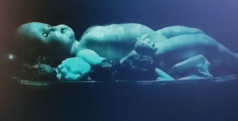 PSYCOCIENCIA's tweet photo. 🩸☠️ #Austria 🇦🇹 31 de Julio 2023

El Mundialmente Famoso Festival de las Artes de Salzburgo

Niños muertos por todos lados, un bebé servido de cena y el público aplaude.

#Agenda2030 #viral #trending #video #FelizMiercoles #Ovnis #UFOs #Dolar #Lady130 #librosdetexto #Mexico 🇲🇽 https://t.co/aJJjJBSLFn
