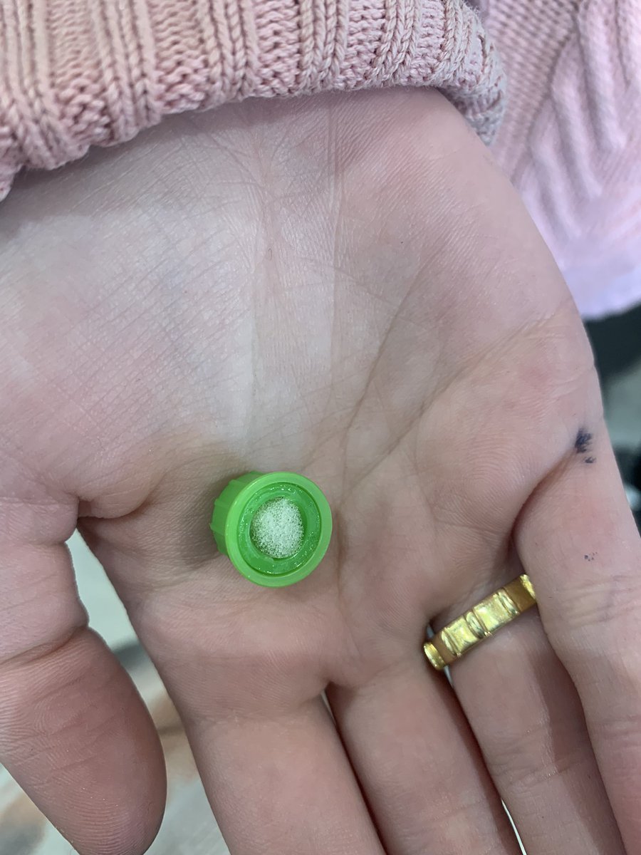 daniela luchsinger tweet media