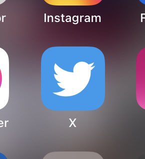 Laura Burrows tweet media