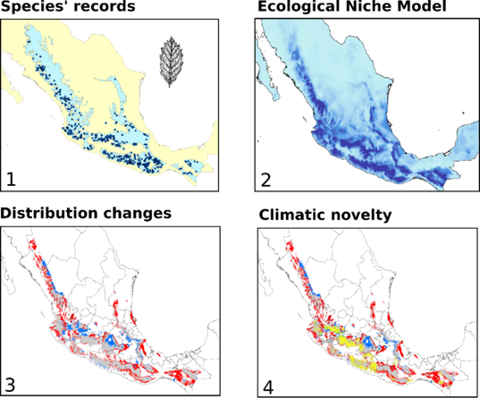 ATMJournal's tweet photo. Read our article ▶️ “Effects of climate change on the potential distribution of a dominant, widely distributed oak species, Quercus candicans, in Mexico” by D. Brizuela-Torres et al. at https://t.co/LY8xJprc5E From our latest #IssueATM Vol. 37 of @ATMJournal Now available! (1/2). https://t.co/Bg7M33vVuI