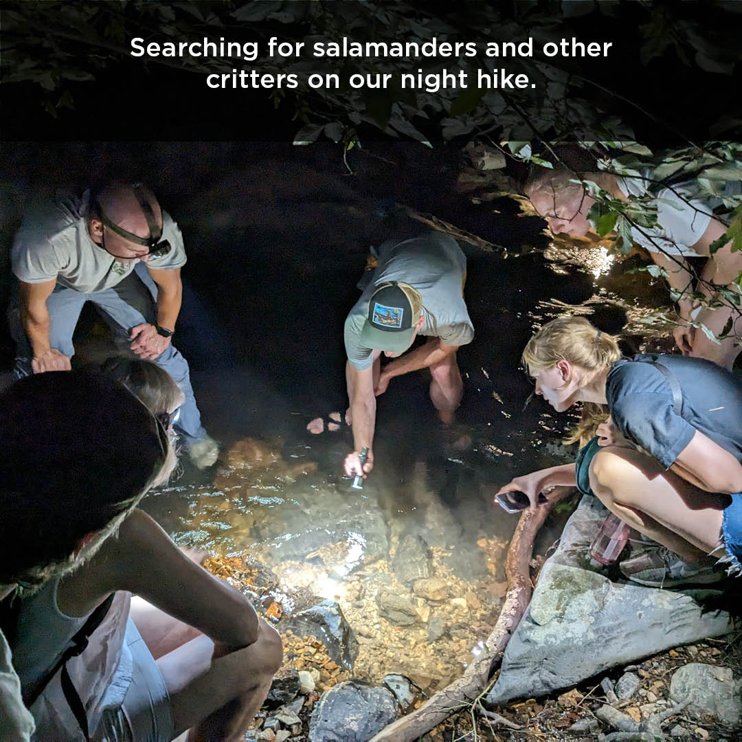 ecostoich's tweet image. Where were we Wednesday!

Last week members from 4 of our 5 jurisdictions met in Hot Springs, AR, for our 3rd annual summit. The summit is designed for science, collaboration, and team building. Already can't wait to meet again next year!
#stoich #EPSCoR