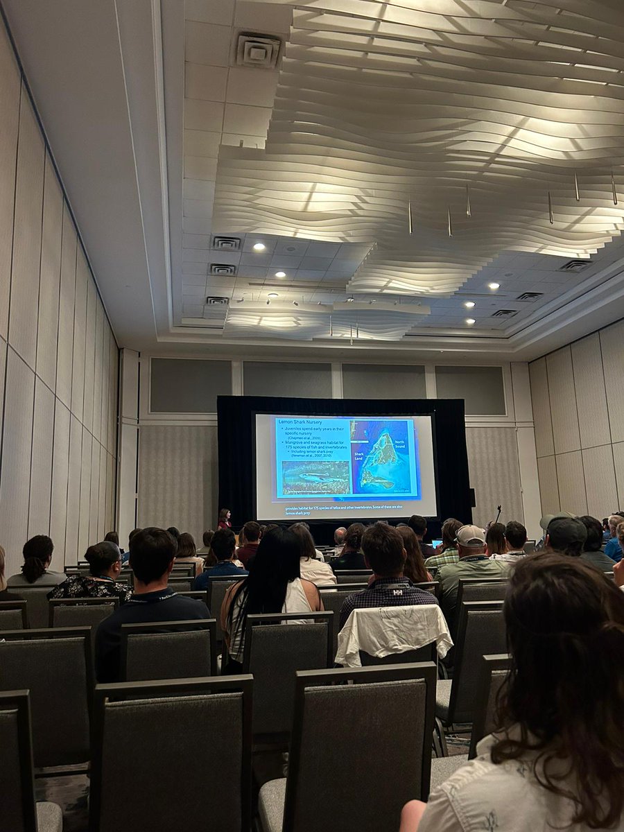 EmilyCCormier's tweet photo. Almost a month after this conference has ended, and I'm still so grateful to have been able to present to such an amazing group of shark scientists as part of the American Elasmobranch Society symposium. It was also great to see some new and some familiar faces + visit the USA! https://t.co/nk7MrdvCrC