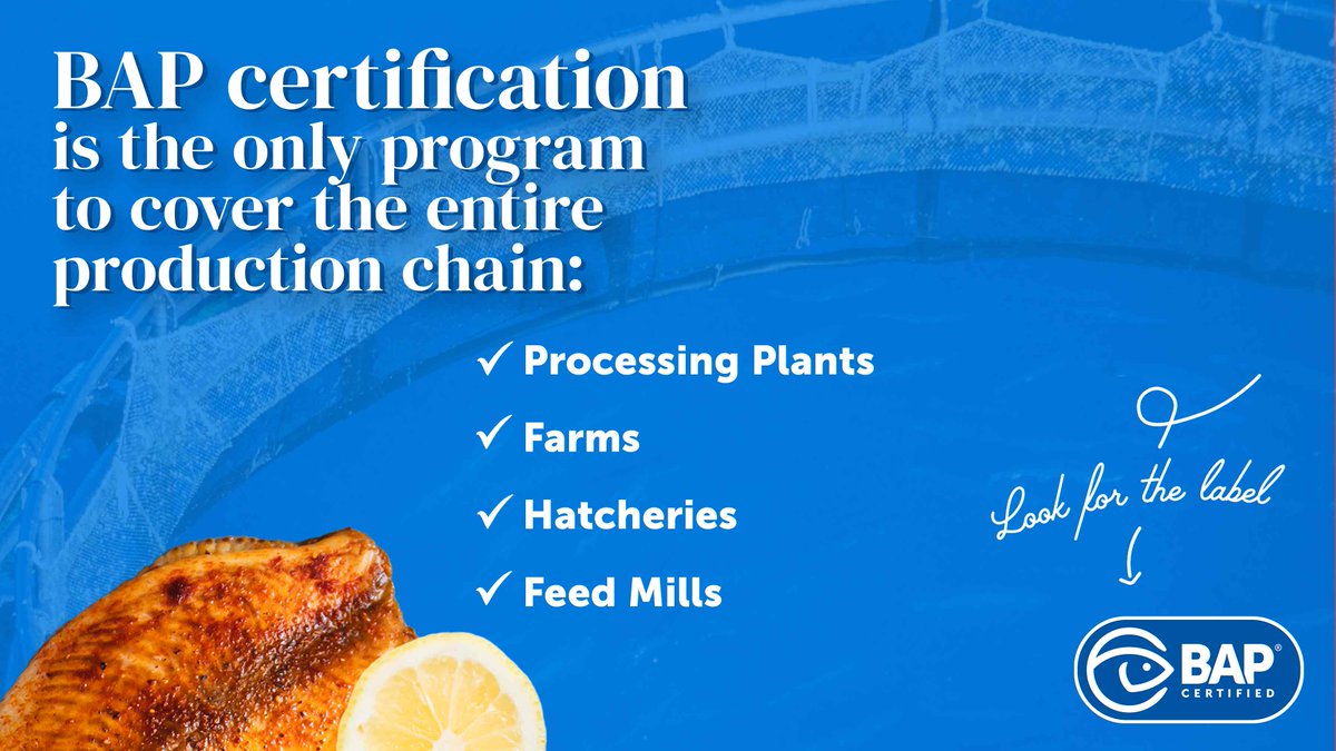 BAP_Seafood's tweet photo. How does BAP differ from other certification programs? BAP is the only aquaculture certification program in the world that covers the entire production chain, including the processing plant, farm, hatchery and feed mill! 🐟 🦐 https://t.co/PpAIBGuJ8a