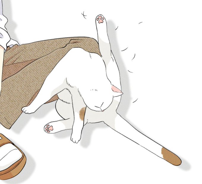 「calico white cat」 illustration images(Latest)