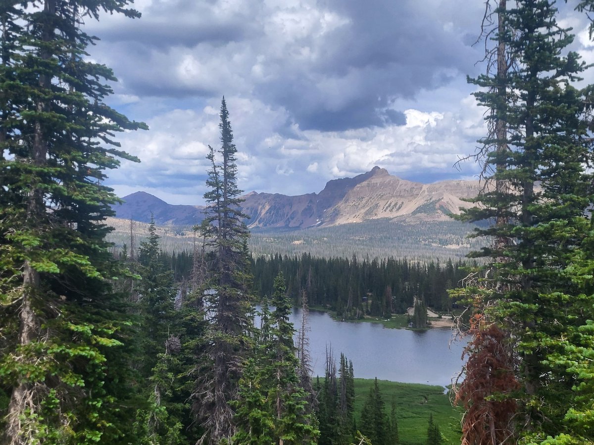 KUTV2News's tweet photo. Utah serving Bob Ross realness 🎨👨‍🎨🐩thanks to monsoon weather! (That's the closest emoji we could find to represent Bob's iconic hair)
Show us your happy little pictures of Utah at https://t.co/rfXQN8Df2K!
📷: Mirror Lake, Utah
📷: Rusty Banks via https://t.co/rfXQN8Df2K https://t.co/8VZI5xUP03
