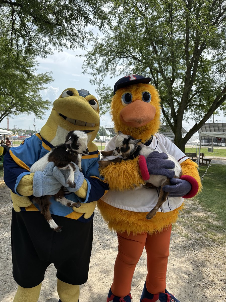 Had a blast at the Wood County Junior Fair today, even made a few friends in the process 🐐