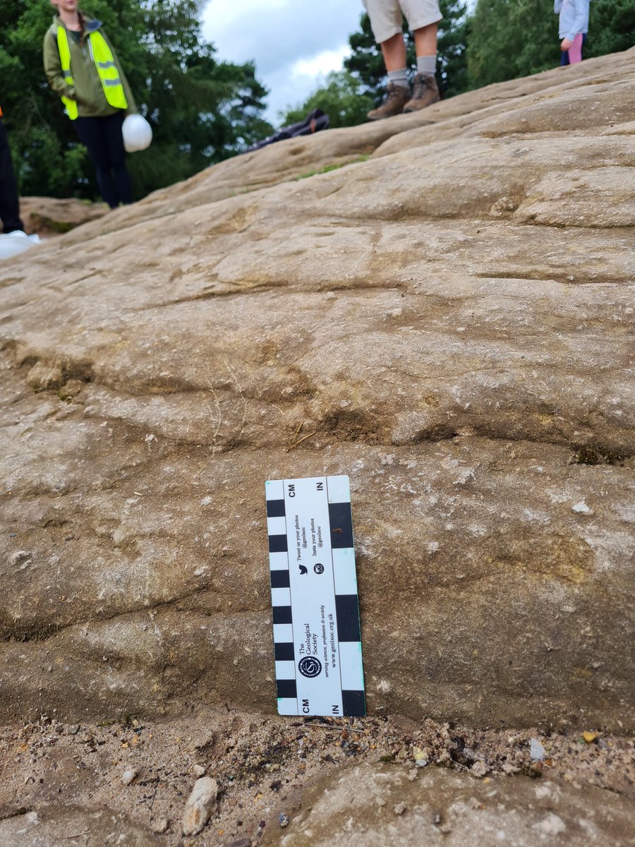 pumpkinfaeries's tweet photo. Aeolian or fluvial deposits? Either way - enjoy the #Barite #GESS23 #AlderleyEdge @nationaltrust https://t.co/zYuCbAbMqf