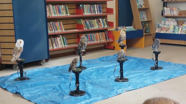 BromLibraries's tweet photo. It is always fun when @jambsowls visit #BeckenhamLibrary! 
Today we met 7 beautiful owls. We learnt all about them and then were lucky enough to be able to hold and stroke them. 
Thank you @JambsOwls @LBofBromley @Better_UK @Beckenham @readingagency #SummerReadingChallenge https://t.co/nwHzJx3Xz7
