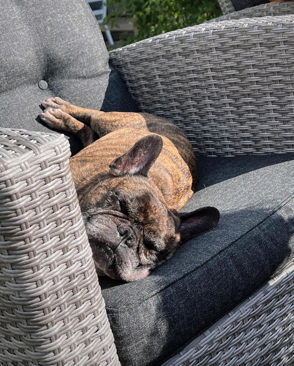 Elsa596's tweet image. Casual afternoons open up. Come along and enjoy😊 #afternooncoffee