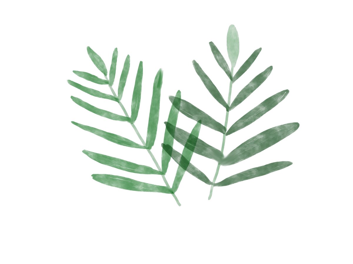 bappy_br16's tweet photo. Green leaves...

#digitalillustration #digitalart #art #illustration #digitaldrawing #drawing #artist #digitalpainting #artwork #artistsoninstagram #digitalartist #procreate #digital #fanart #sketch #illustrator #digitalartwork #artoftheday #draw #procreateart #painting #instaart https://t.co/4pBeprkQL7