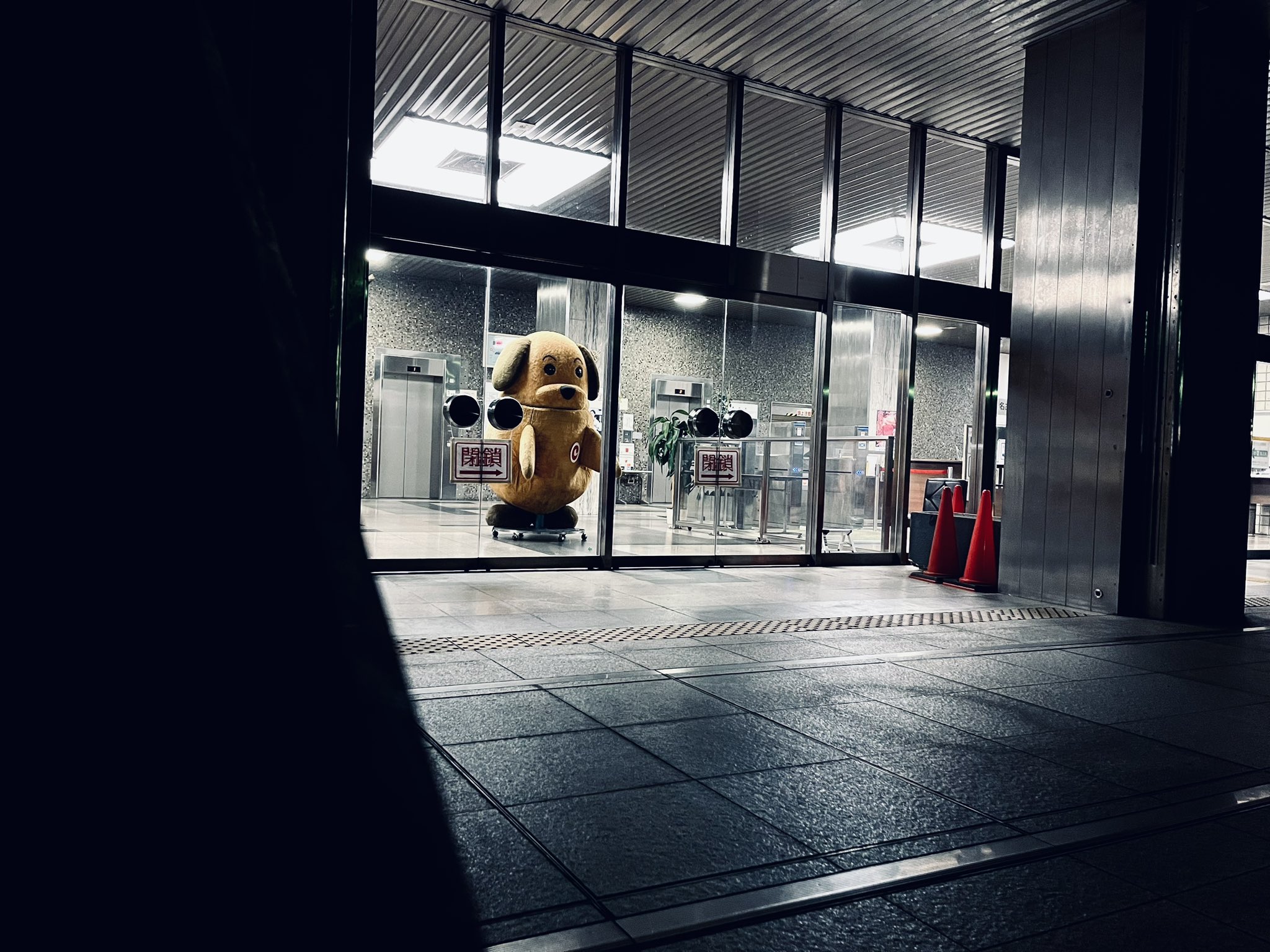 深夜の名古屋税関の警備員…見つかったら、ﾀﾋぬまで追っかけてきそう… https://t.co/1dkFh5oIzu