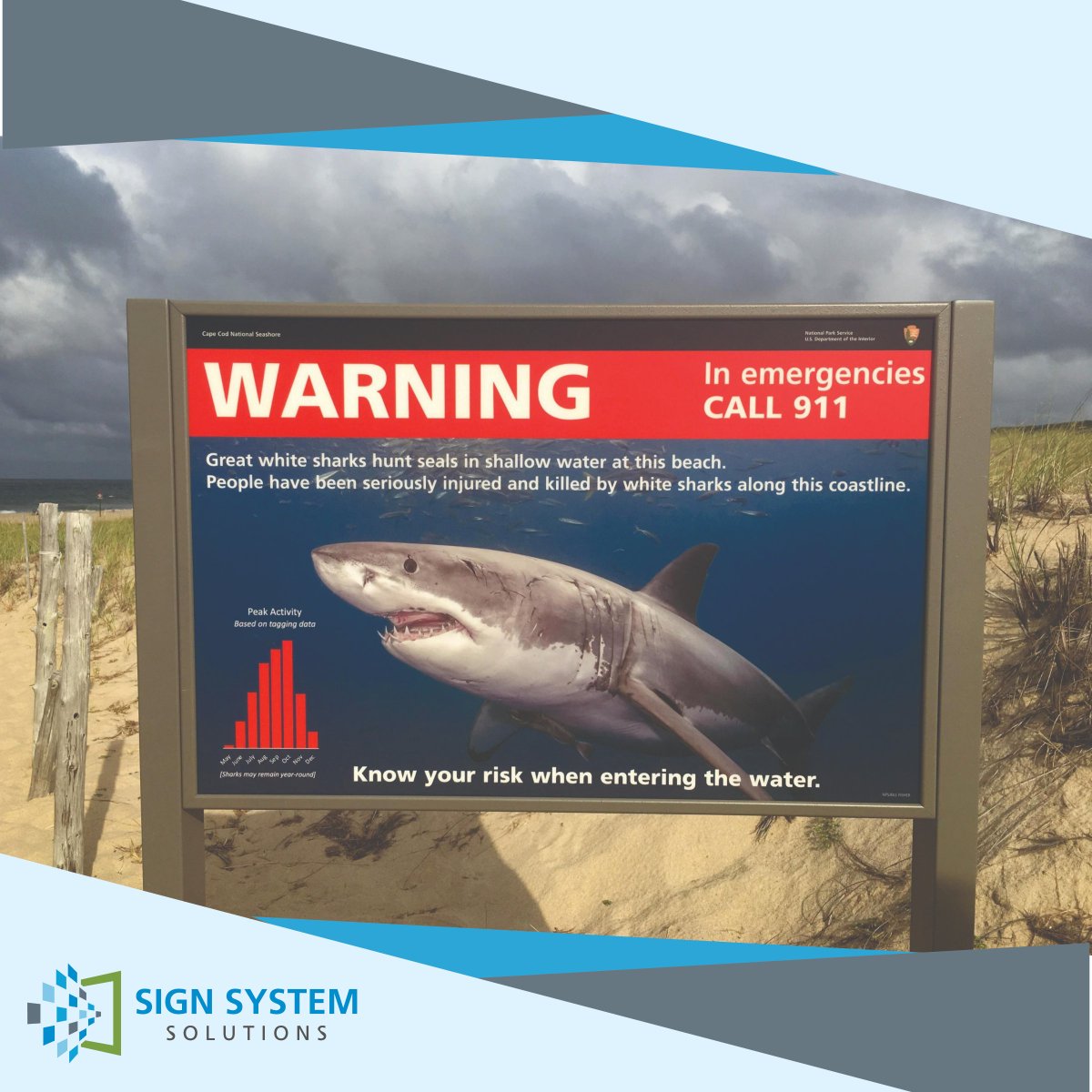 SignSystem1's tweet photo. This year it is reported there are roughly 800 great whites off the coast of the Cape. Our team member, Andrea, encountered this sign in Provincetown last week and stayed safely on the beach! 🦈

#sharksightings #capecod #sharksigns #signsystems #payattentiontothesignage https://t.co/JZX63eUFM6