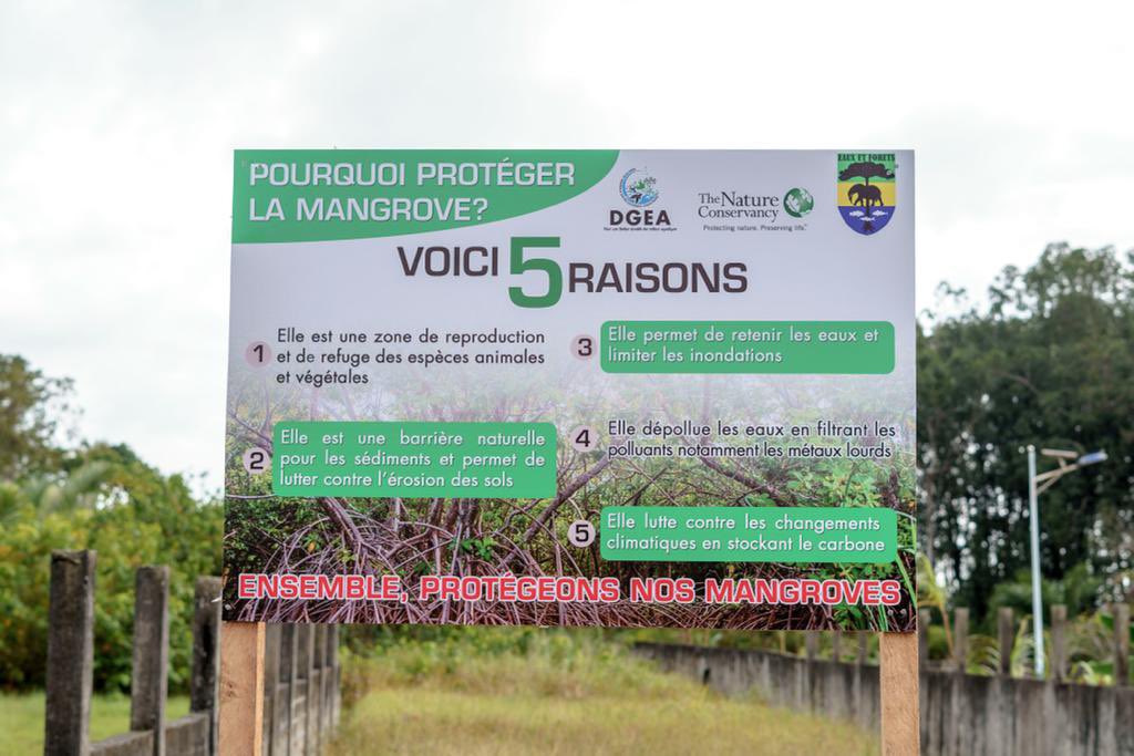 Prof. Lee White CBE tweet media