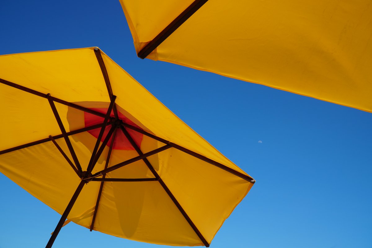 AbtrexII's tweet photo. Did you miss us? 

July was full of vacation days and sunshine so we took a little social media hiatus, but we missed you!

Abtrex wants to wish everyone safe travels and to make everyday count! Happy Summer everyone!

#safetravels #beautifulsunshine https://t.co/98NNIvQhWf