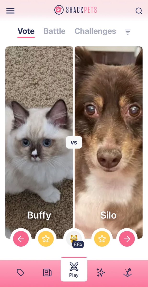 shackpets's tweet photo. Join the ultimate battle for cuteness and download #Shackpets for free today: https://t.co/L9sLJ01t3V https://t.co/QA7DjKMcIK